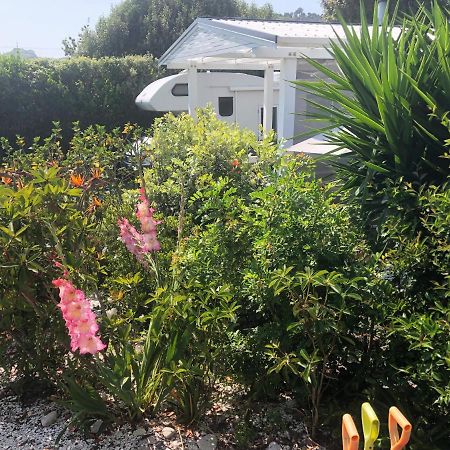 Hahei Getaway Apartment Luaran gambar